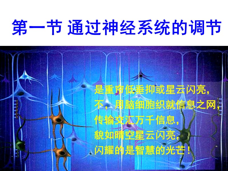 2.1《通过神经系统的调节》课件许艳玲.ppt_第1页