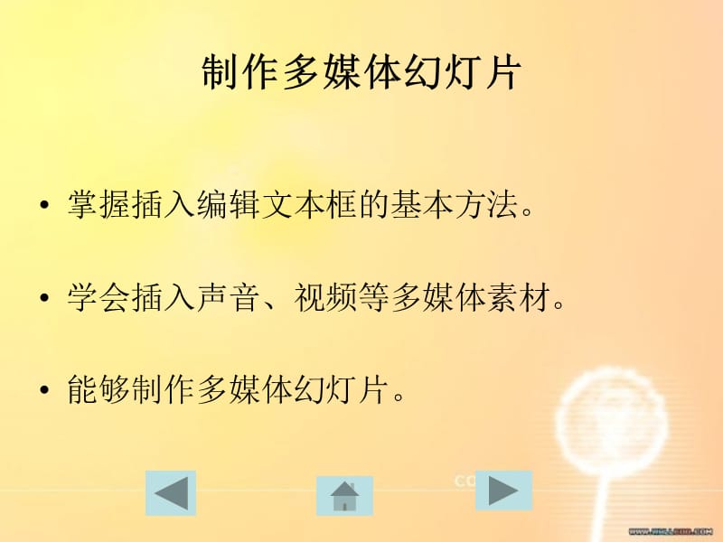 演示文稿PPT的制作.ppt_第2页