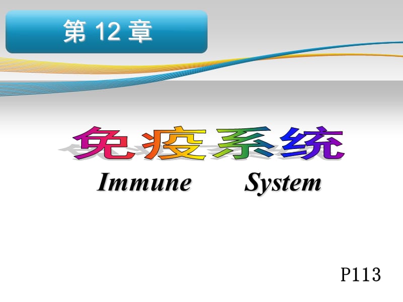 人体免疫系统PPT课件.ppt_第3页
