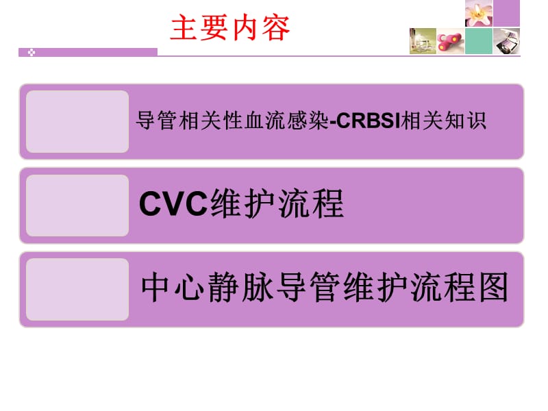 crbsi预防之cvc导管维护ppt课件.ppt_第2页