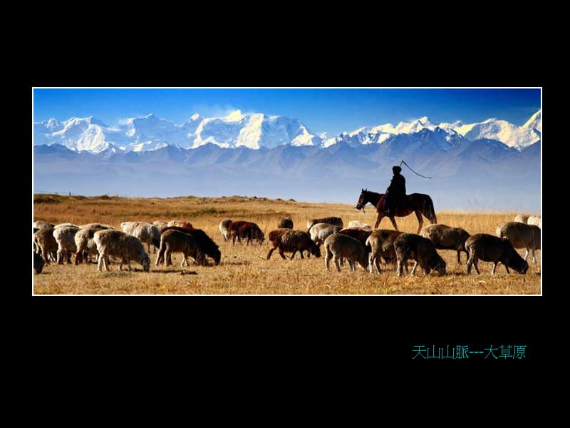 北疆风光林清立摄影.ppt_第2页
