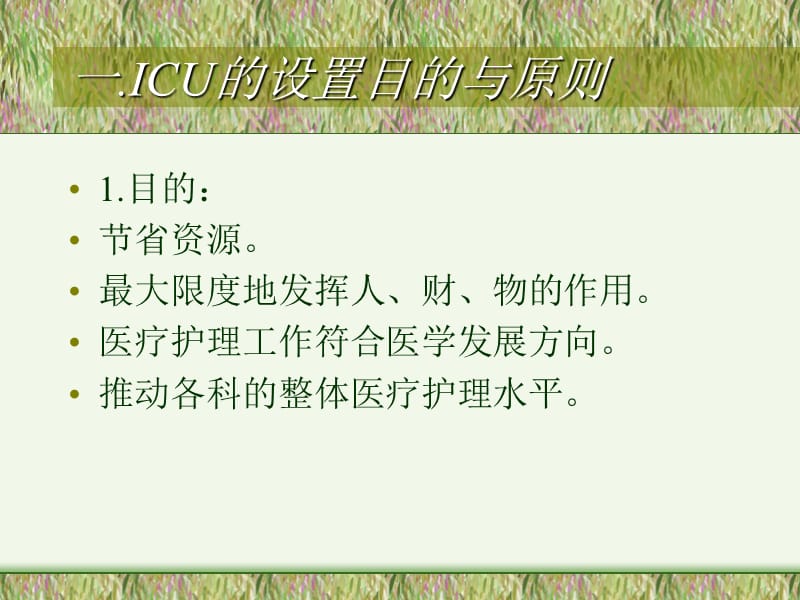 重症监护病房的监控和护理.ppt_第2页