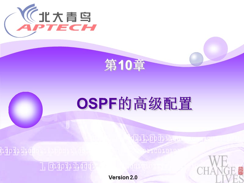 第十章 OSPF的高级配置.PPT_第2页