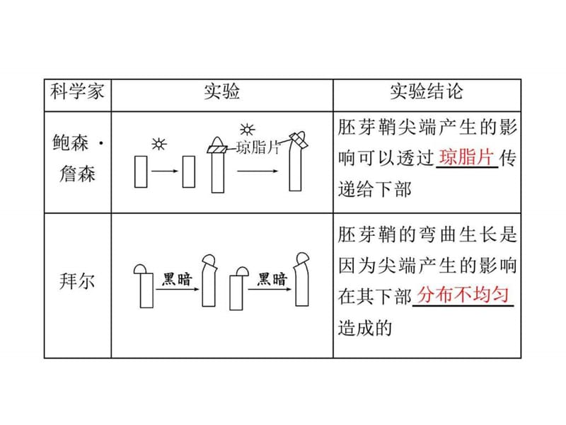 2017届高三生物一轮复习课件必修3 第二单元 植物的激素.ppt_第2页