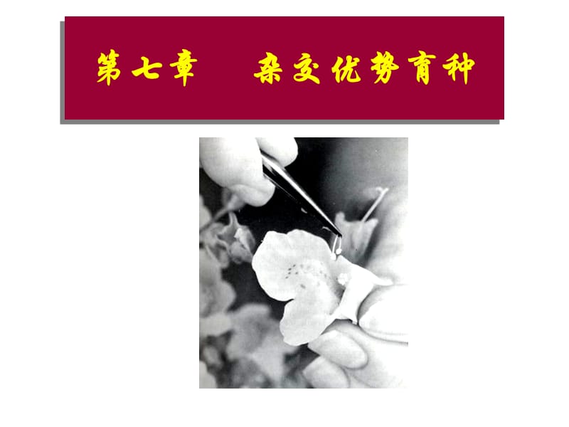 2019园林植物花卉育种学ppt课件第7章 杂种优势的利用.ppt_第1页