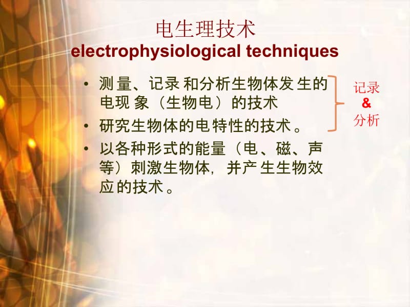 2019胡优敏《电生理学技术及临床应用》电生理技术-2.pptx_第2页