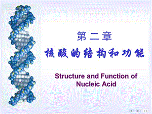 [生化]核酸的结构与功能.ppt
