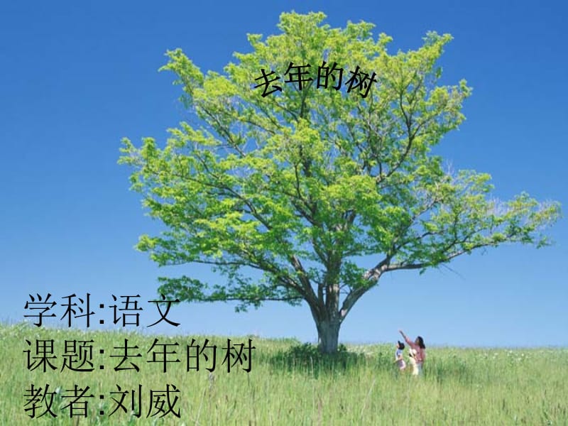 学科语文课题去年的树教者刘威.ppt_第2页