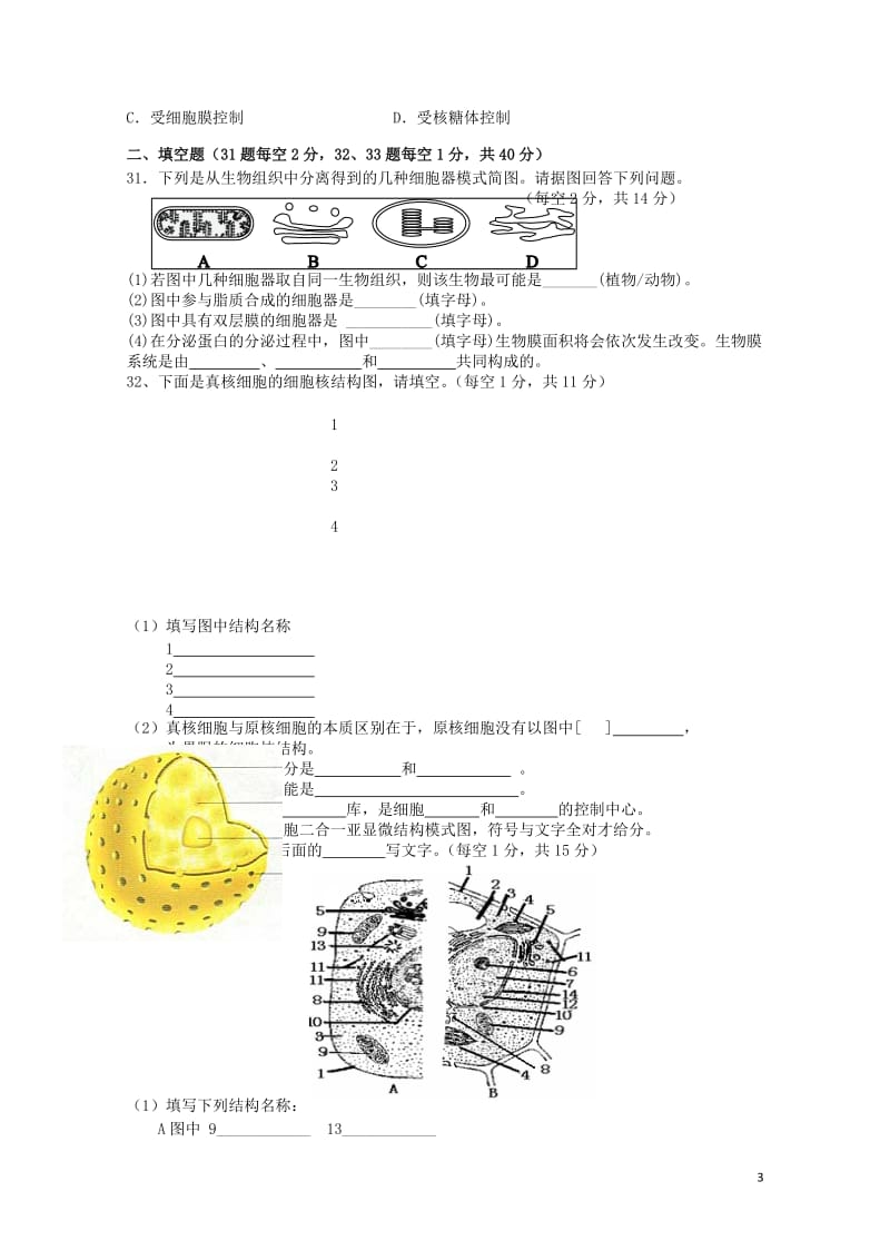 黑龙江省鸡西市第十九中学2018_2019学年高一生物上学期期中试题201901020188.doc_第3页