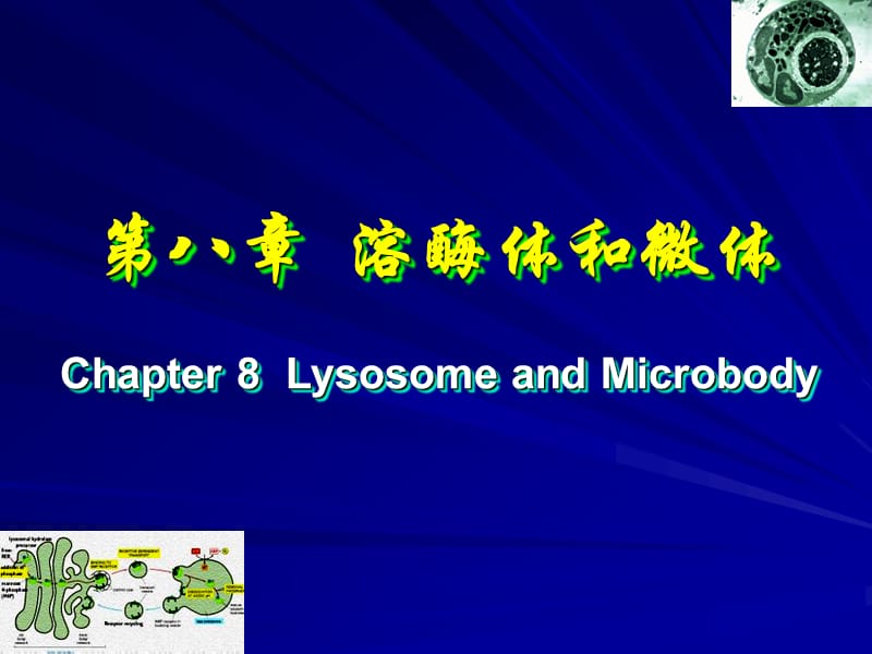 中国海洋大学细胞生物09溶酶体和微体ppt课件.ppt_第1页
