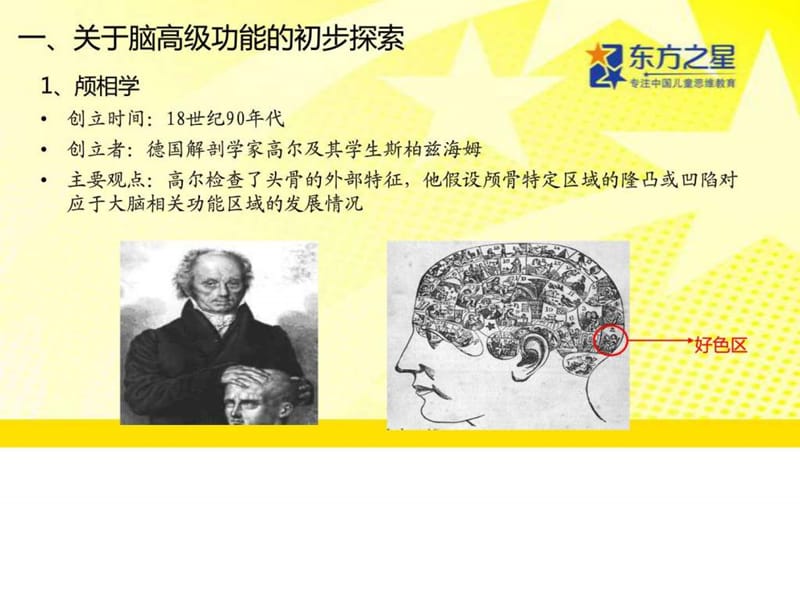 2019脑科学与学前教育 0715 杨文泽.ppt.ppt_第3页