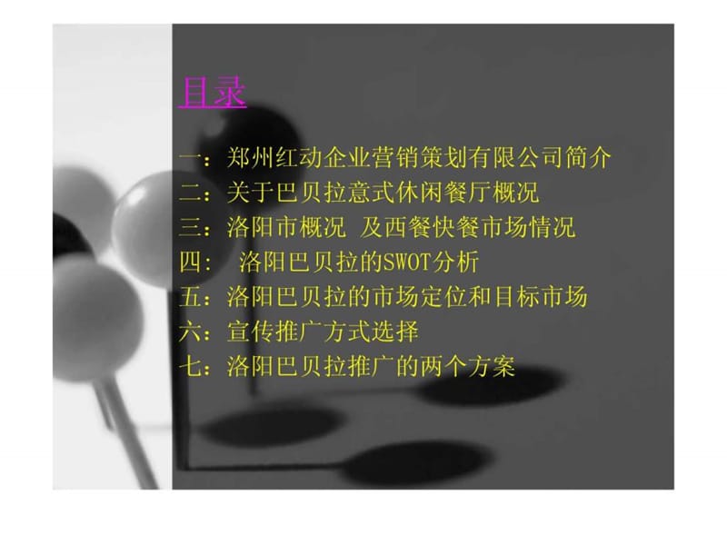 2019洛阳巴贝拉餐厅宣传推广策划案.ppt.ppt_第2页