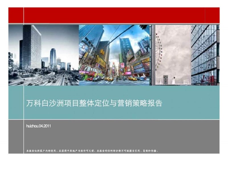中原2011年04月武汉市万科白沙洲项目整体定位与营销策略报告.ppt_第1页
