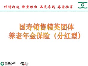 国寿销售精英团体养老年金保险分红型介绍与实施细则.ppt