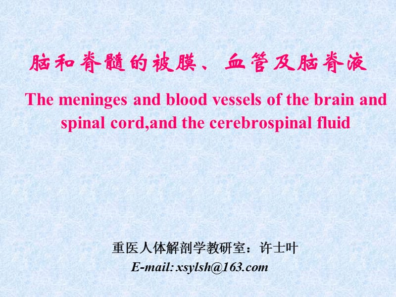 脑和脊髓的被膜血管脑脊液及说其循环ppt课件.ppt_第1页