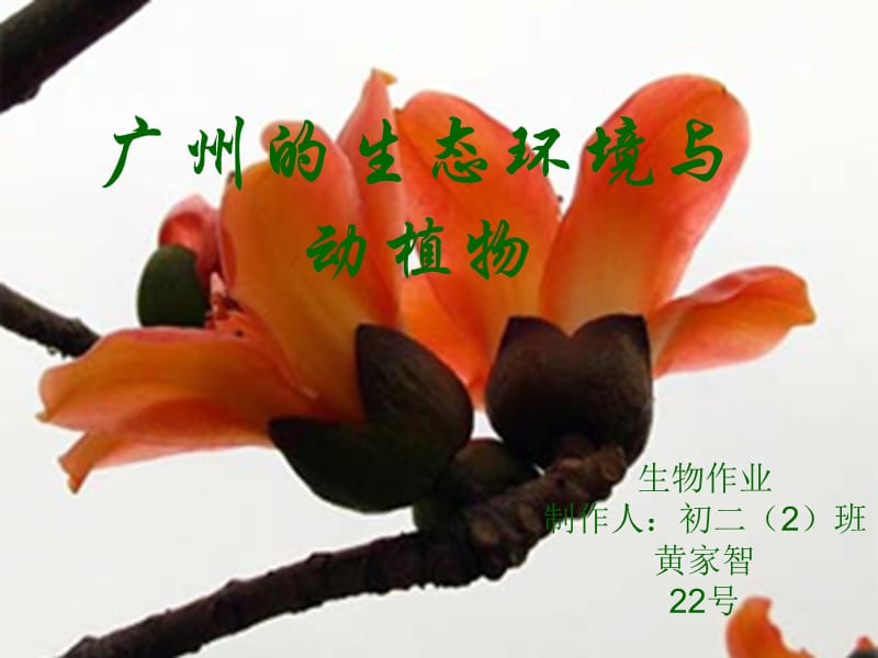 广州的生态环境与动植物.ppt_第1页
