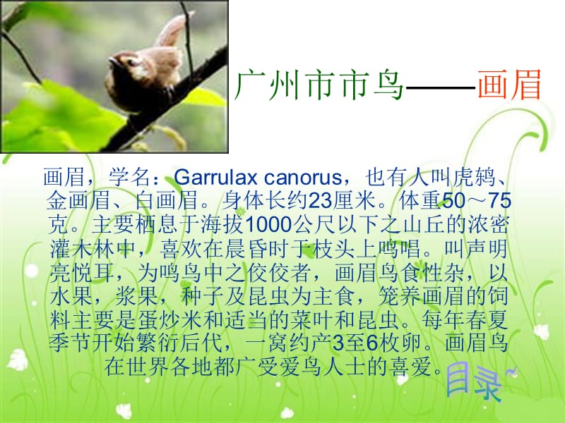 广州的生态环境与动植物.ppt_第3页