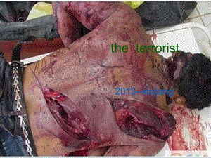 恐怖主义英语演讲terrorist.ppt