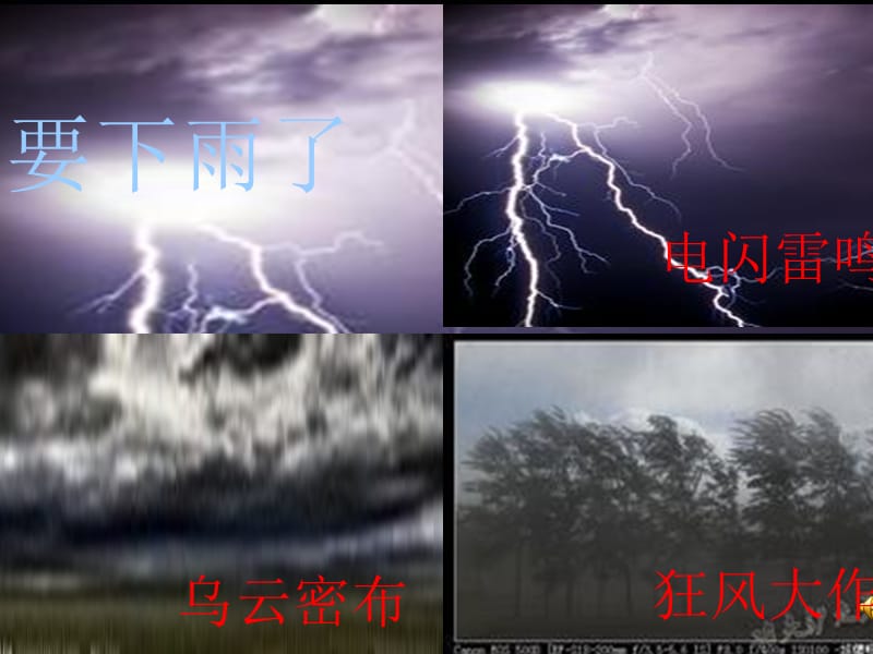 14要下雨了新疆专用版二年级下册.ppt_第2页