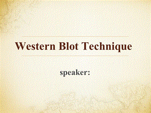 WesternBlotTechnique.ppt