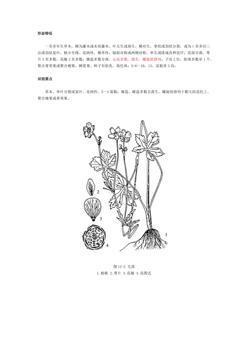 植物科属花公式花图式.doc_第3页