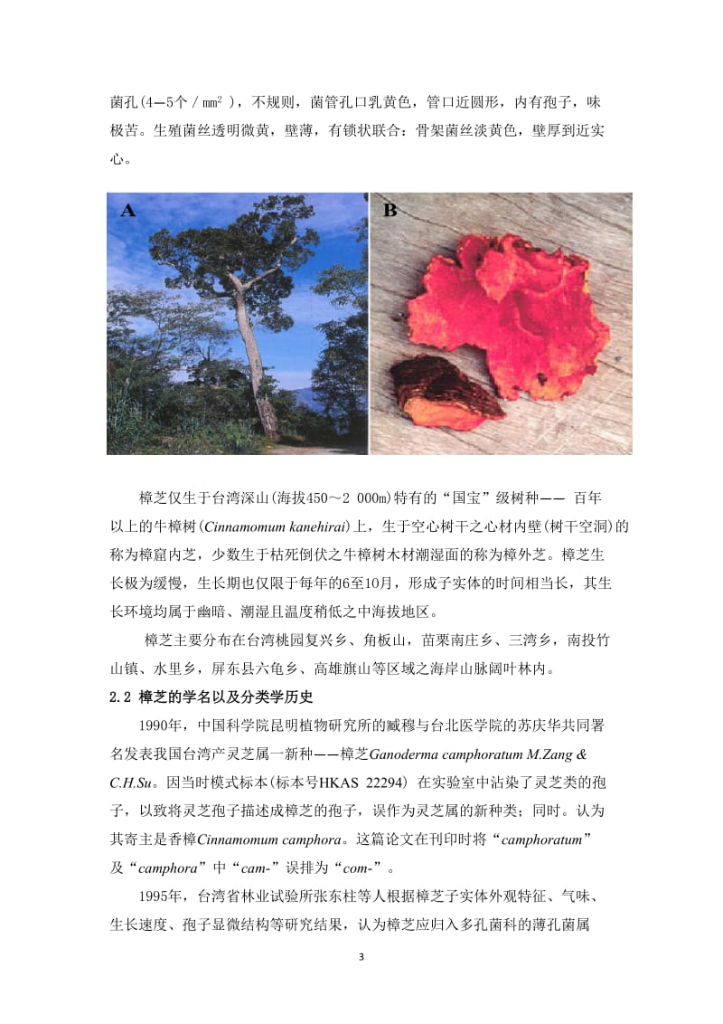 台湾特产珍稀药用真菌樟芝的深层发酵与产品开发项目计划书.doc_第3页