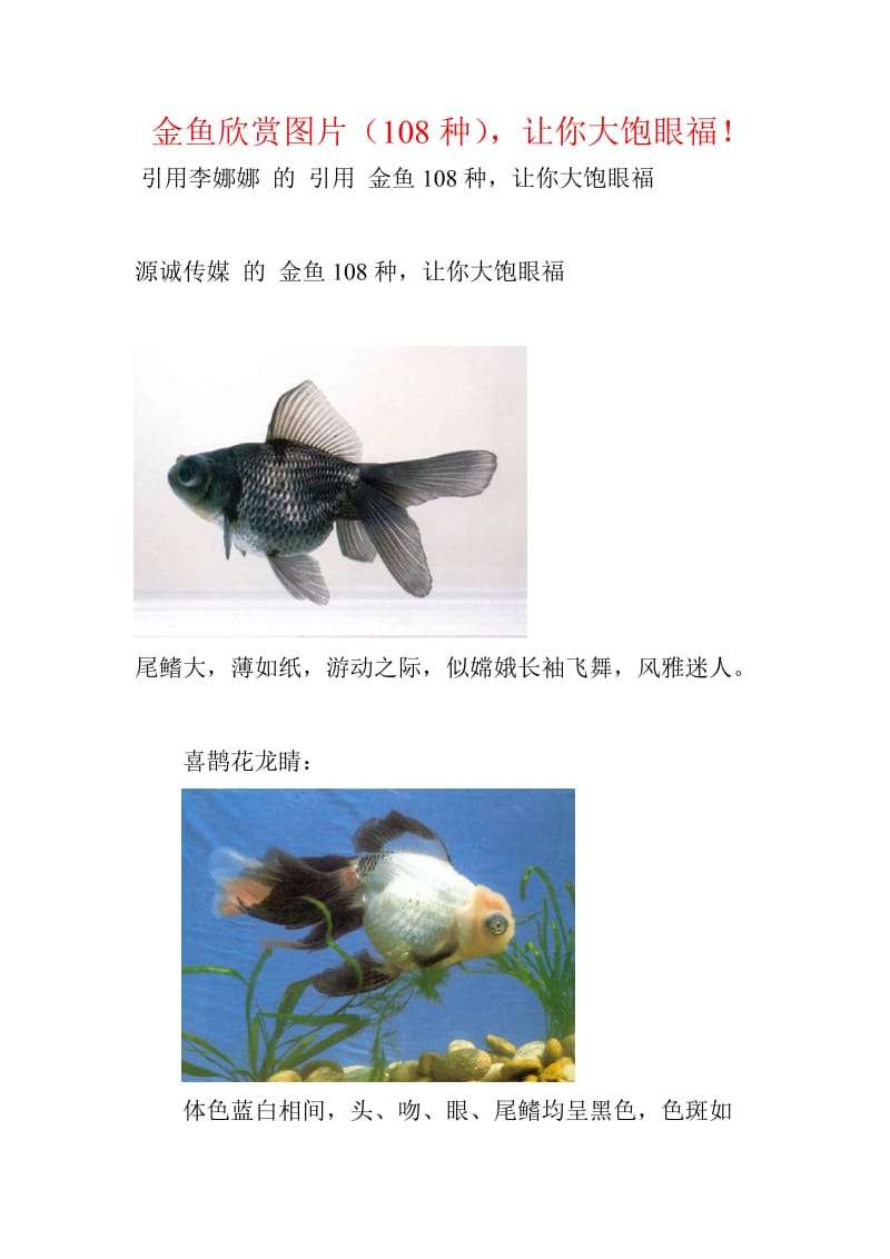 金鱼欣赏图片108种,让你大饱眼福.doc_第1页