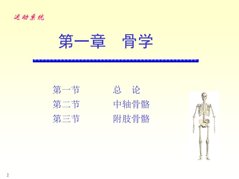 人体解剖实验.ppt_第2页