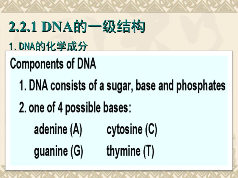 分子生物学第二章DNA结构与复制.ppt_第3页