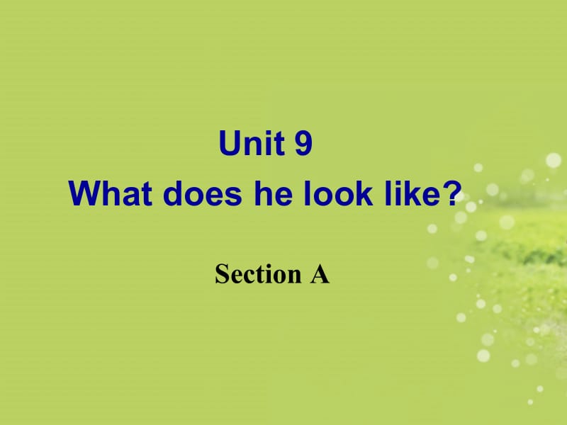 七年级英语下册《Unit9_What_does_he_look_like_Section_A》课件_(新版)人教新目标版.ppt_第2页