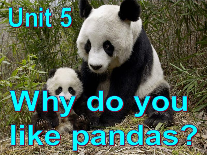 人教版七年级英语下册Unit_5_Why_do_you_like_pandas_课件PPT2013春.ppt_第2页