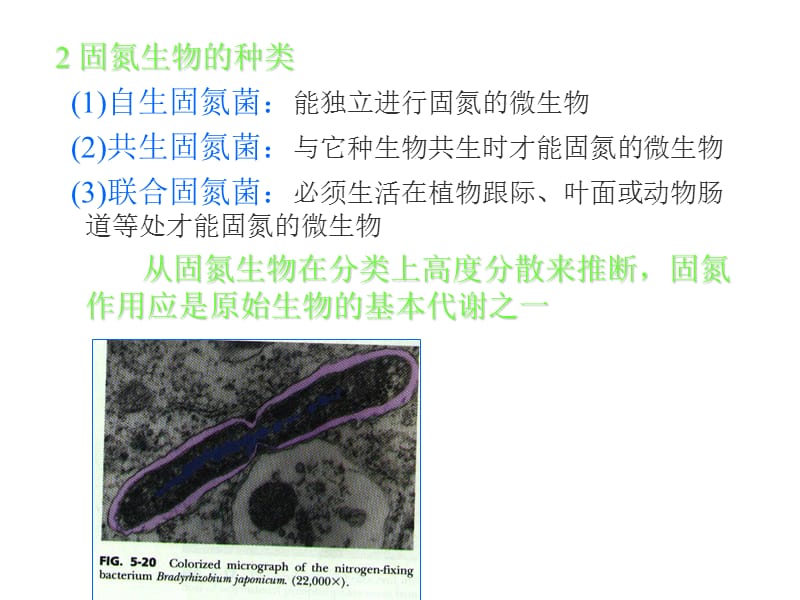 微生物的生长与控制.ppt_第2页