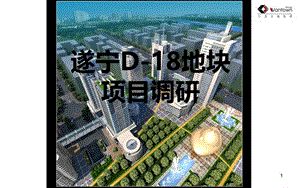 2010遂宁D-18项目调研报告76p.ppt