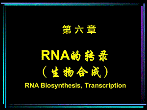 第06章RNA转录与转录后加工.ppt