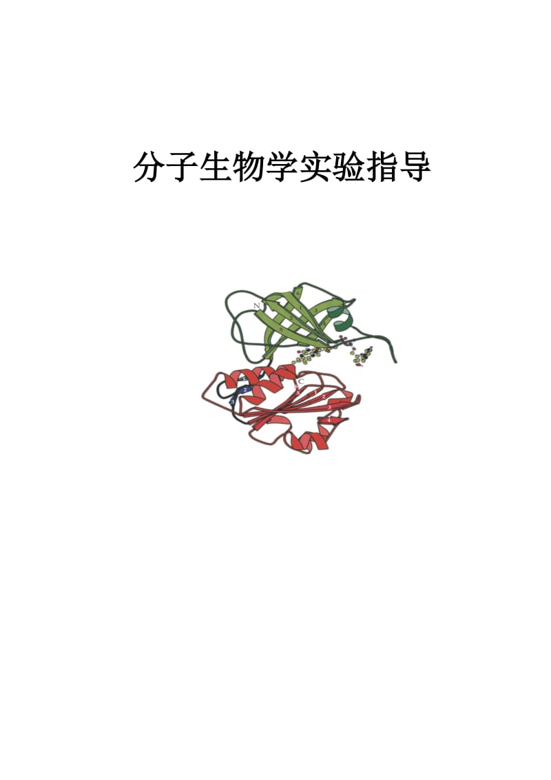 高级技能训练：分子生物学实验技术09.10.09.doc_第1页