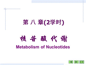 第08章核苷酸生物化学.ppt