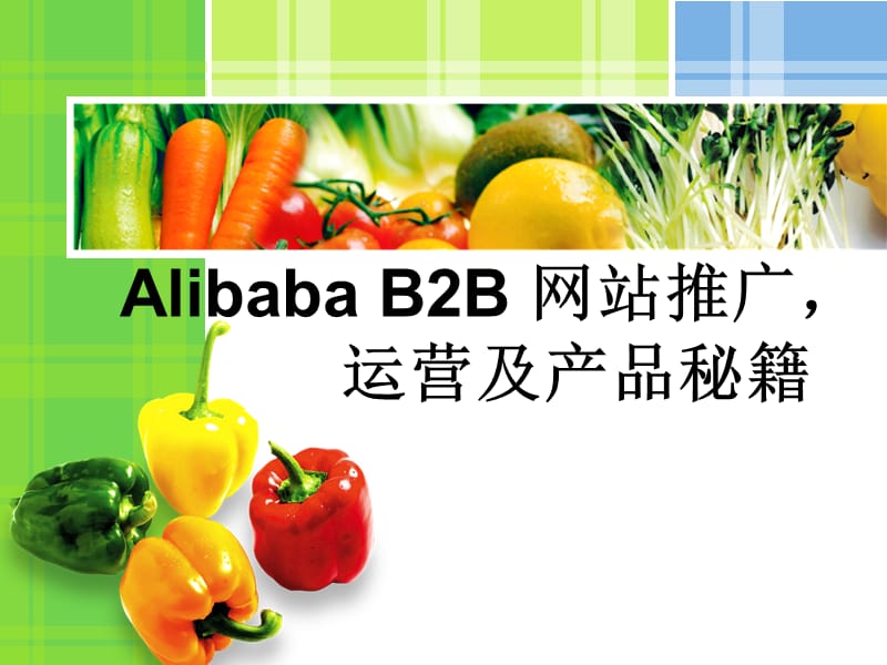 ALIBABA_B2B_网站推广_运营及产品秘籍.ppt_第1页