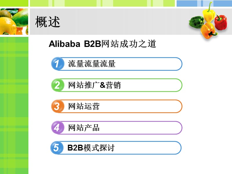 ALIBABA_B2B_网站推广_运营及产品秘籍.ppt_第2页