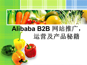ALIBABA_B2B_网站推广_运营及产品秘籍.ppt