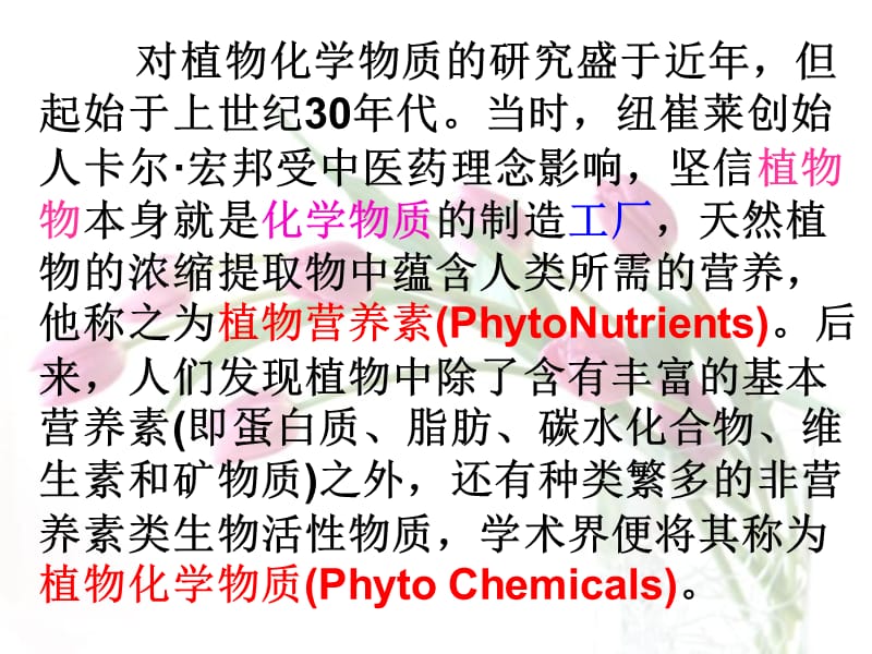 植物营养素.ppt_第2页