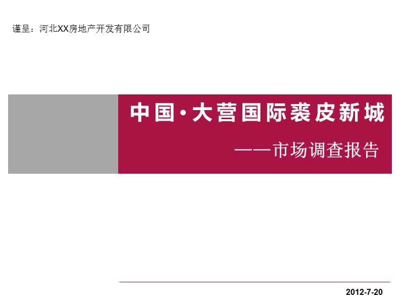 2012年8月河北大营国际裘皮新城市场调查报告（45页）.ppt_第1页