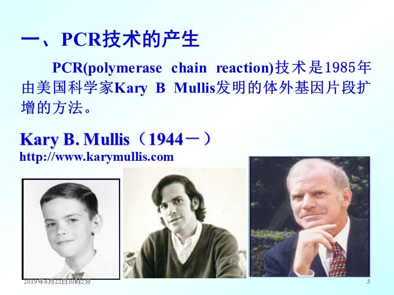 第7章_第2节_PCR技术(3_LMJ).ppt_第3页