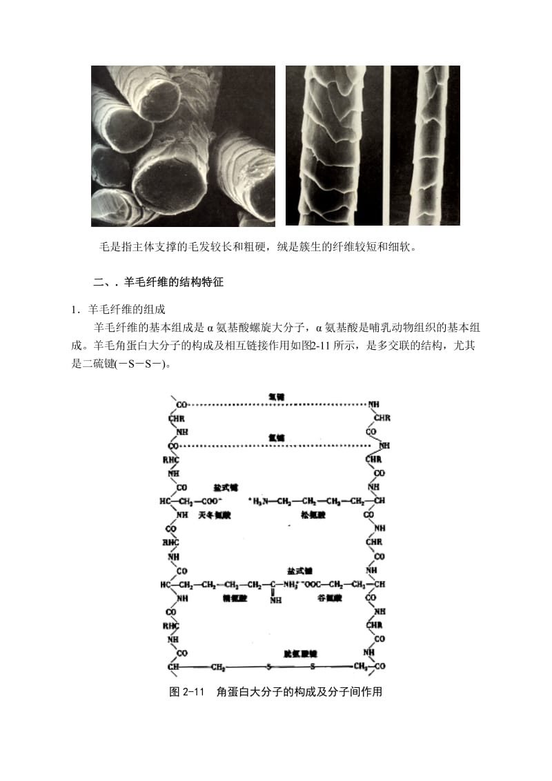 纺织材料学第4章动物纤维.doc_第2页