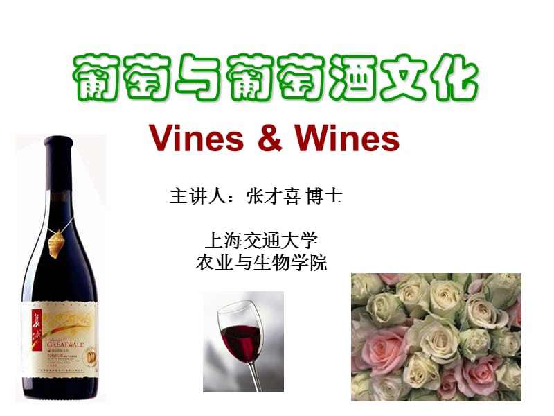 葡萄与葡萄酒文化20120228.ppt_第1页