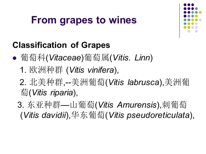 葡萄与葡萄酒文化20120228.ppt_第3页