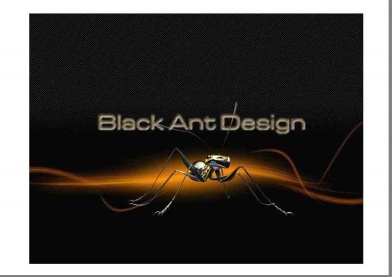 黑蚁设计：黑蚁设计经典案上例精粹(含平面)2017-142页.ppt_第2页