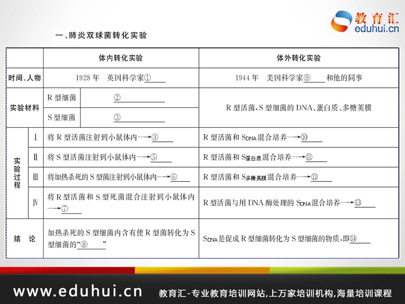 高考生物第一轮复习精品课件包第六单元遗传物质基础和基本规律考点25.ppt_第2页