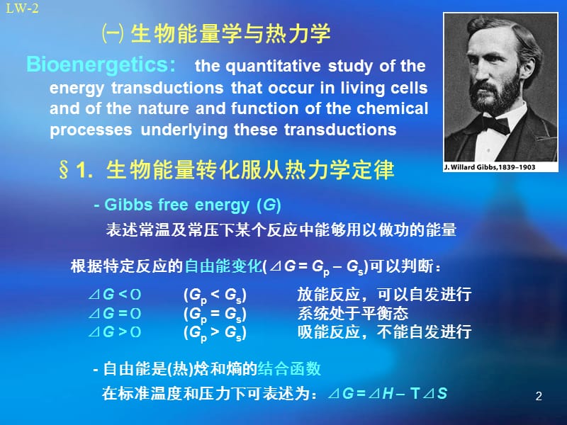 09生物能量学原理s.ppt_第2页