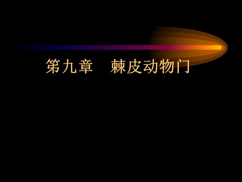 09棘皮动物门.ppt_第2页