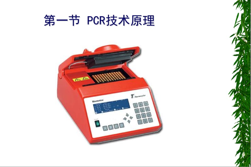 02-PCR技术原理及其应用-刘晓雪.ppt_第2页